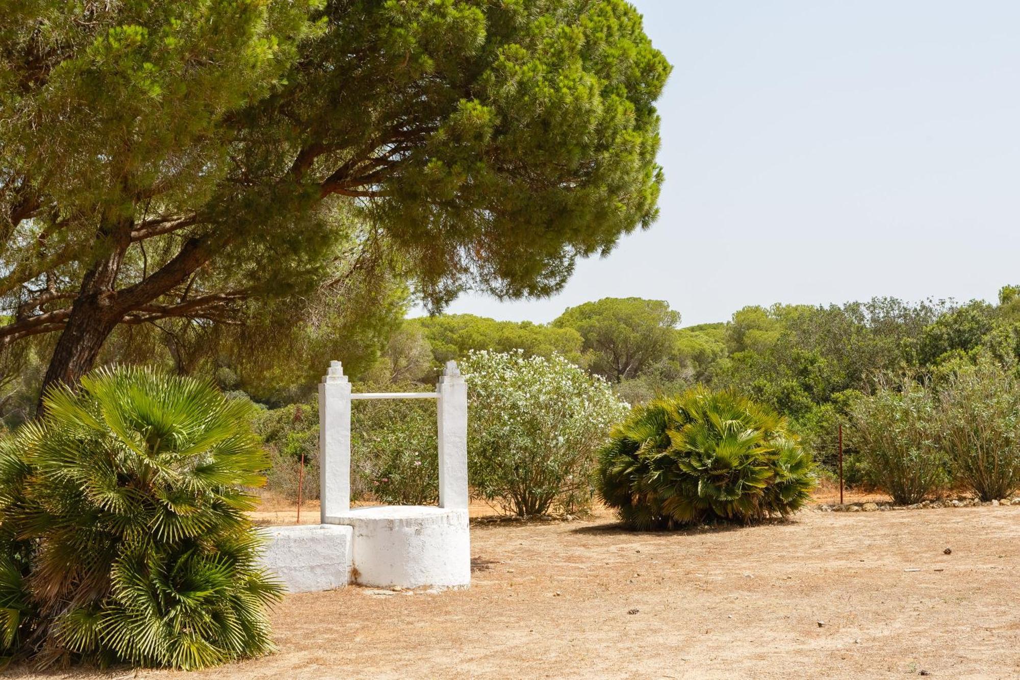 קדיז Casa Dehesa De Las Yeguas מראה חיצוני תמונה