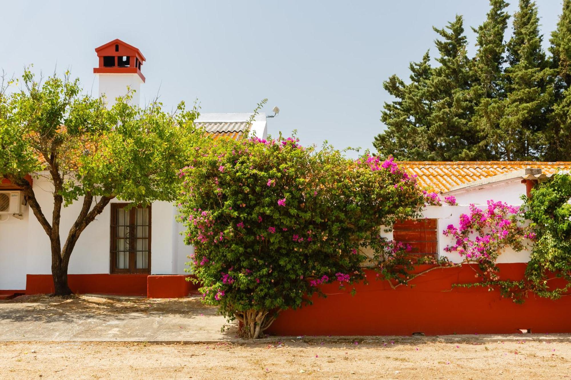 קדיז Casa Dehesa De Las Yeguas מראה חיצוני תמונה